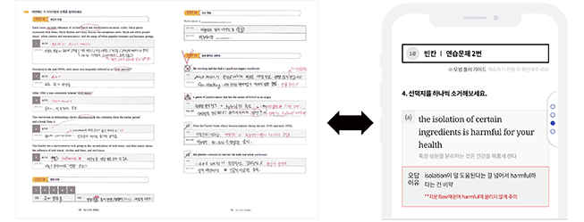 모범풀이 비교화면