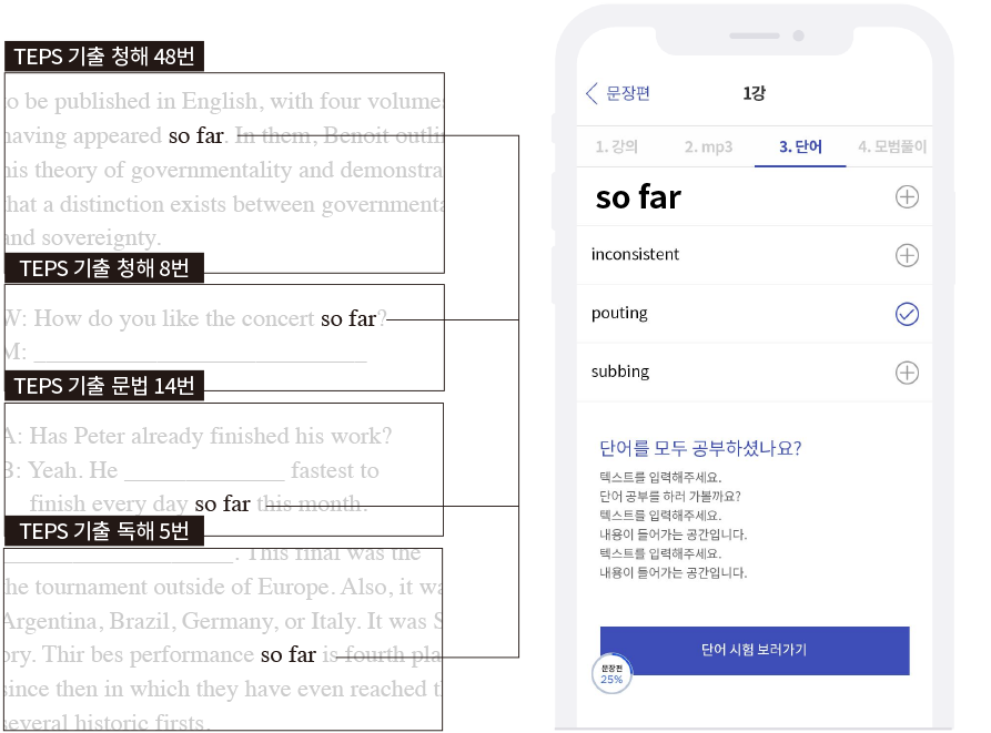 텝스 빈출 단어 모음 화면.