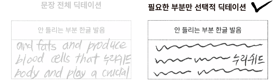 문장 전체 딕테이션 안 들리는 부분 한글 발음 필요한 부분만 선택적 딕테이션 안들리는 부분 한글발음