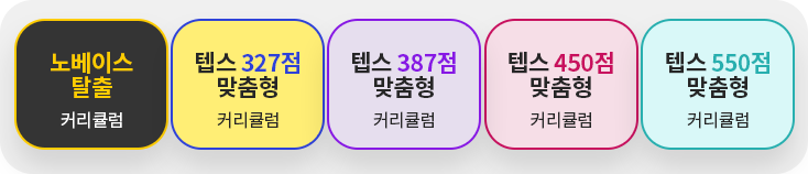 노베이스 탈출 커리큘럼 텝스 327점 맞춤형 커리큘럼 텝스 387점 맞춤형 커리큘럼 넵스 450점 맞춤형 커리큘럼 텝스 550점 맞춤형 커리큘럼